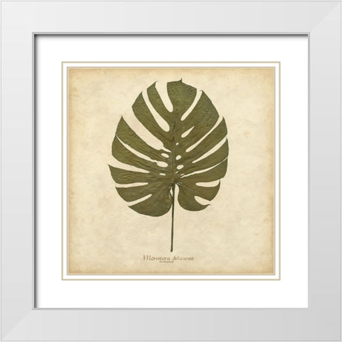Windowleaf White Modern Wood Framed Art Print with Double Matting by Davis, Becky