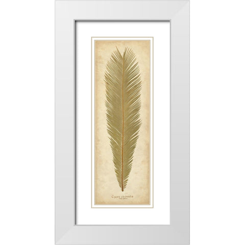 Sago Palm I White Modern Wood Framed Art Print with Double Matting by Davis, Becky