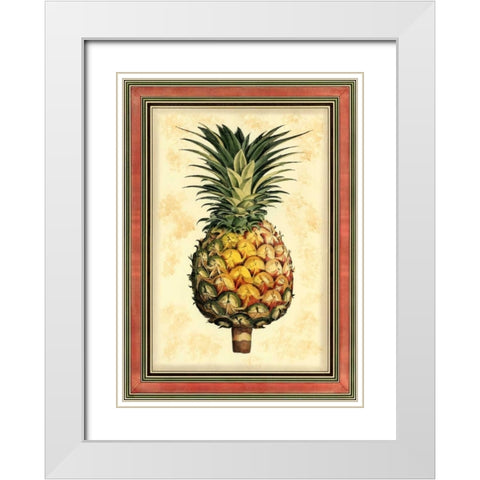 Pineapple Splendor I White Modern Wood Framed Art Print with Double Matting by Vision Studio
