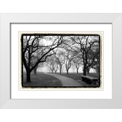 Foggy Morning Walk White Modern Wood Framed Art Print with Double Matting by DeNardo, Laura