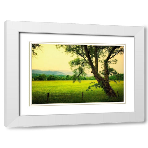 Morning at the Cove I White Modern Wood Framed Art Print with Double Matting by Head, Danny