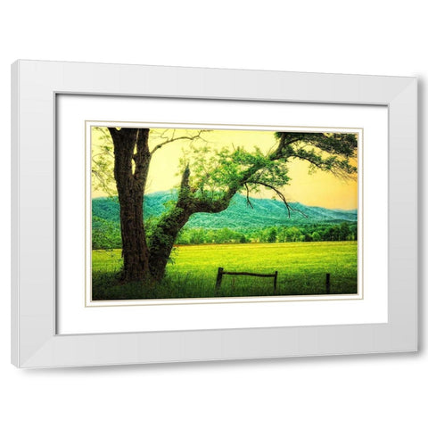 Morning at the Cove II White Modern Wood Framed Art Print with Double Matting by Head, Danny