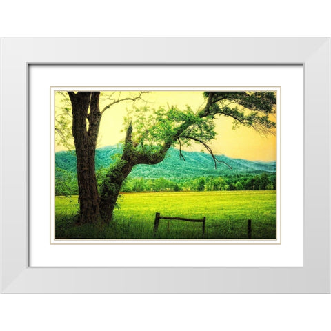 Morning at the Cove II White Modern Wood Framed Art Print with Double Matting by Head, Danny