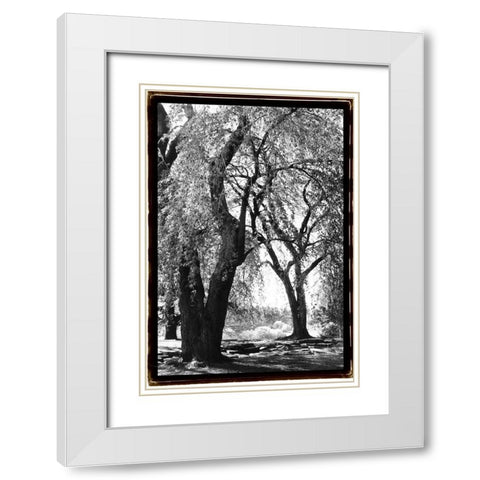 Summer Shade III White Modern Wood Framed Art Print with Double Matting by DeNardo, Laura