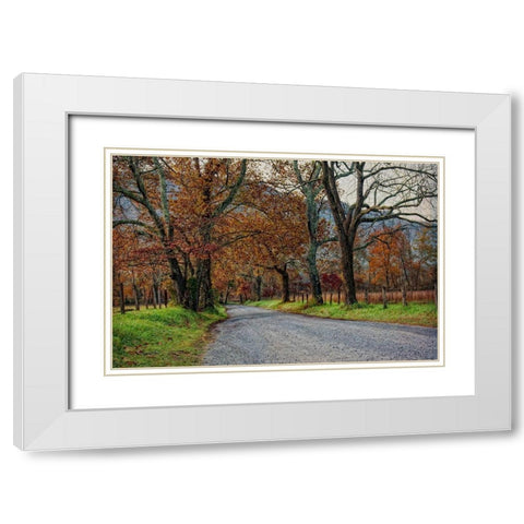 Morning on Sparks Lane I White Modern Wood Framed Art Print with Double Matting by Head, Danny