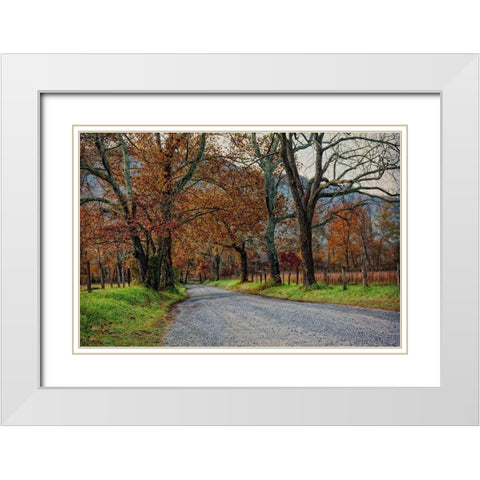 Morning on Sparks Lane I White Modern Wood Framed Art Print with Double Matting by Head, Danny
