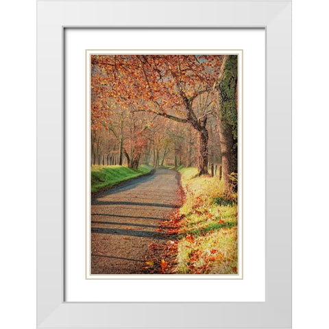 Morning on Sparks Lane III White Modern Wood Framed Art Print with Double Matting by Head, Danny