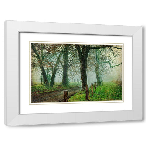 Morning on Sparks Lane IV White Modern Wood Framed Art Print with Double Matting by Head, Danny