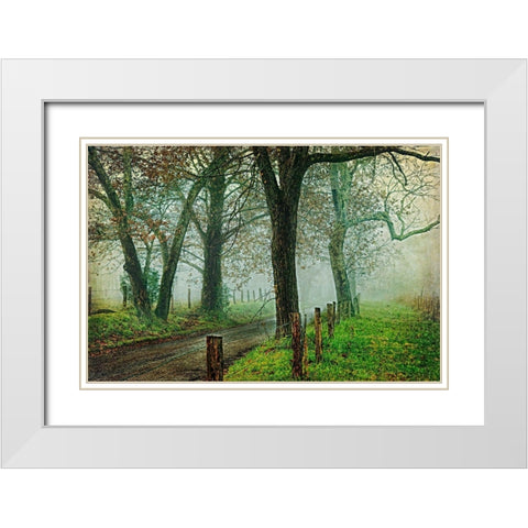 Morning on Sparks Lane IV White Modern Wood Framed Art Print with Double Matting by Head, Danny