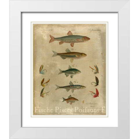 Pisces Composition I White Modern Wood Framed Art Print with Double Matting by Vision Studio