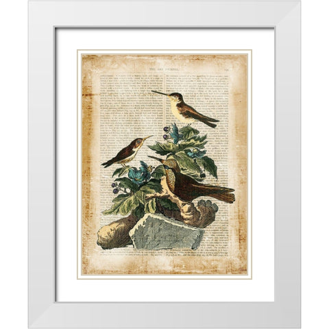 Antiquarian Birds IV White Modern Wood Framed Art Print with Double Matting by Vision Studio