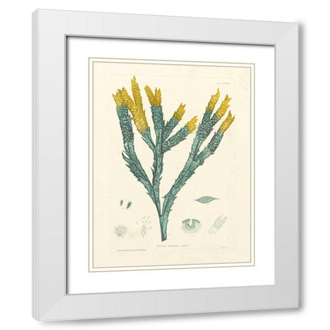 Luminous Seaweed I White Modern Wood Framed Art Print with Double Matting by Bradbury, Henry