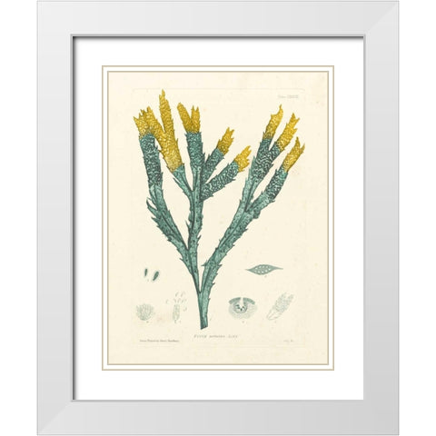 Luminous Seaweed I White Modern Wood Framed Art Print with Double Matting by Bradbury, Henry