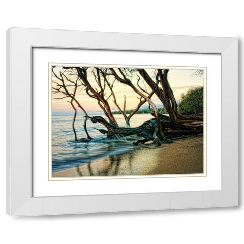 Reaching for the Sea I White Modern Wood Framed Art Print with Double Matting by Head, Danny