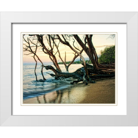 Reaching for the Sea I White Modern Wood Framed Art Print with Double Matting by Head, Danny