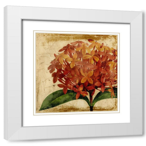 Vibrant Floral III White Modern Wood Framed Art Print with Double Matting by Vision Studio