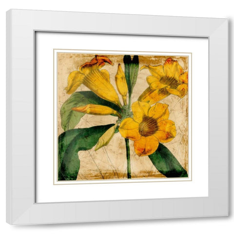 Vibrant Floral V White Modern Wood Framed Art Print with Double Matting by Vision Studio