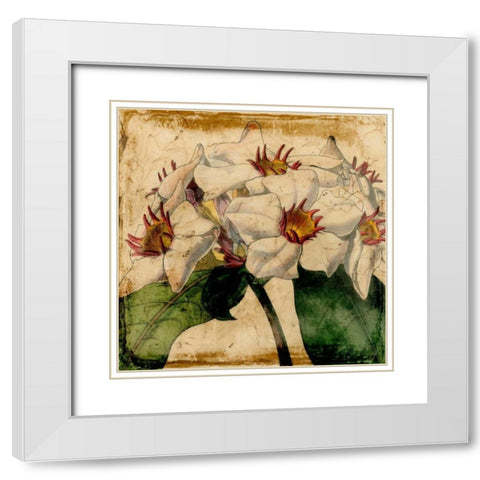 Vibrant Floral VI White Modern Wood Framed Art Print with Double Matting by Vision Studio