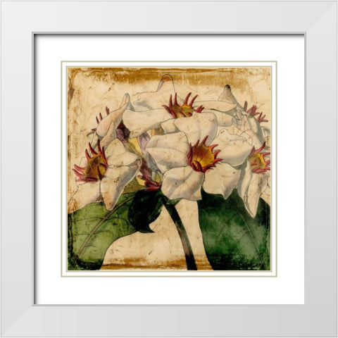 Vibrant Floral VI White Modern Wood Framed Art Print with Double Matting by Vision Studio
