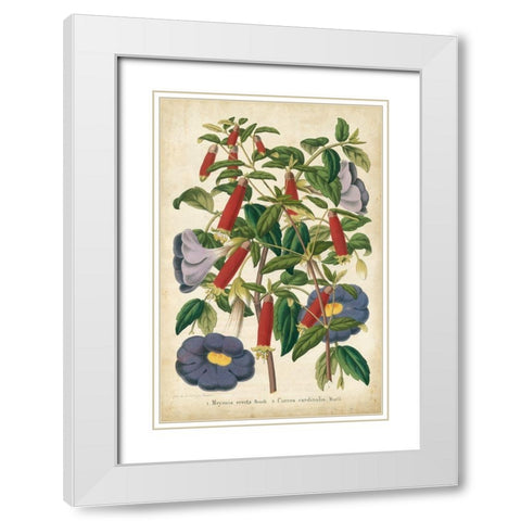 Summer Medley I White Modern Wood Framed Art Print with Double Matting by Severeyns