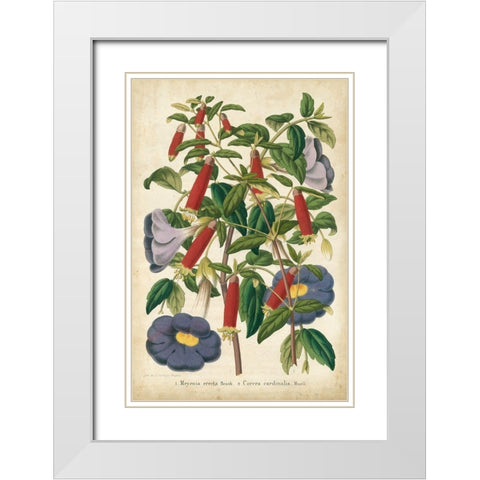 Summer Medley I White Modern Wood Framed Art Print with Double Matting by Severeyns
