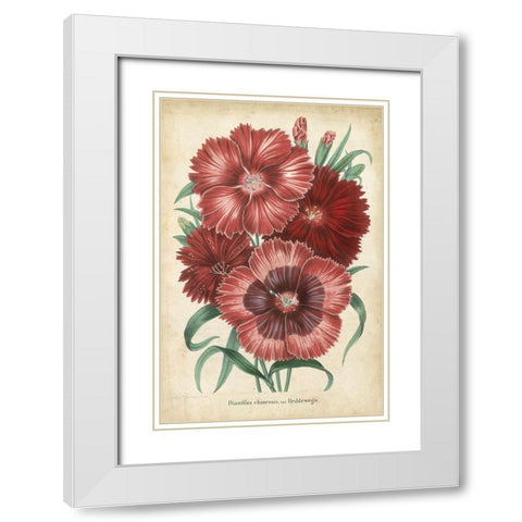 Summer Medley II White Modern Wood Framed Art Print with Double Matting by Severeyns