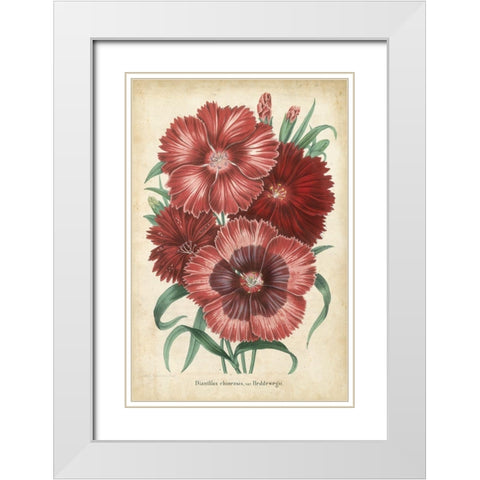 Summer Medley II White Modern Wood Framed Art Print with Double Matting by Severeyns