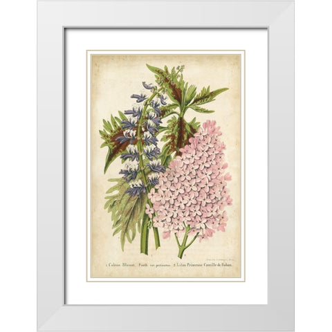 Summer Medley IV White Modern Wood Framed Art Print with Double Matting by Severeyns