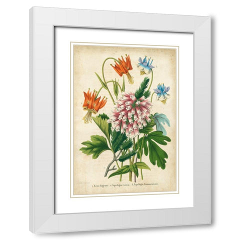 Summer Medley VI White Modern Wood Framed Art Print with Double Matting by Severeyns