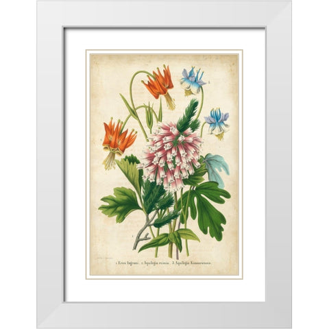 Summer Medley VI White Modern Wood Framed Art Print with Double Matting by Severeyns
