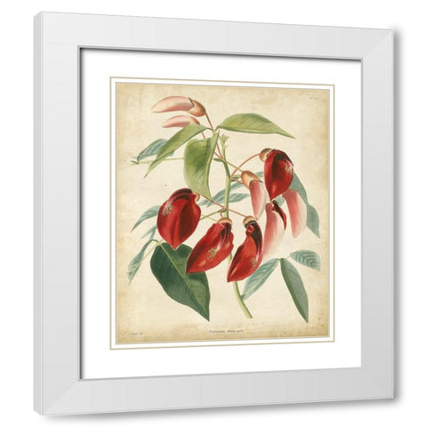 Tropical Floral I White Modern Wood Framed Art Print with Double Matting by Edmonston and Douglas