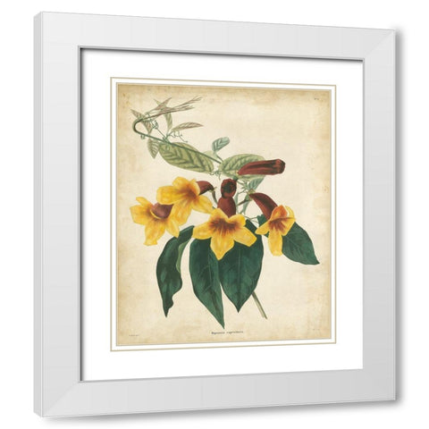 Tropical Floral VI White Modern Wood Framed Art Print with Double Matting by Edmonston and Douglas