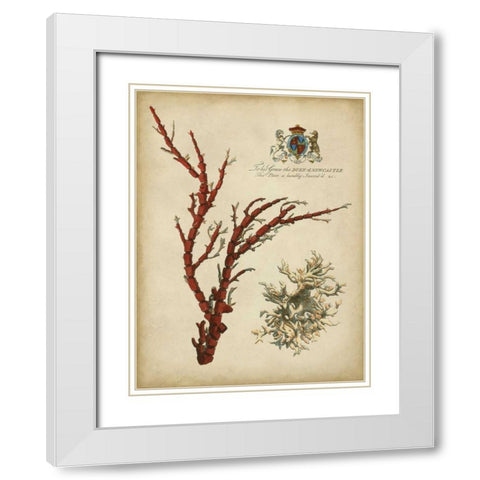 Imperial Coral I White Modern Wood Framed Art Print with Double Matting by Vision Studio