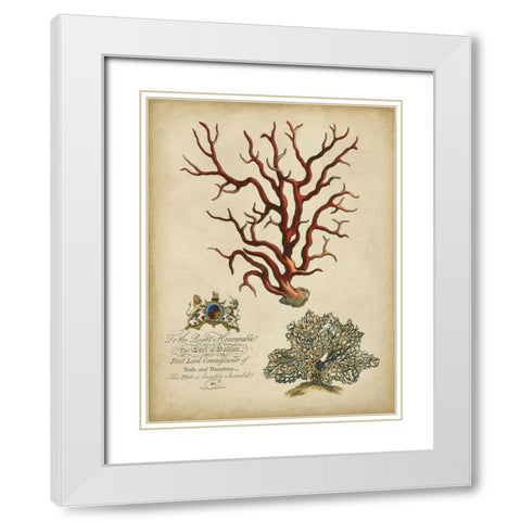 Imperial Coral IV White Modern Wood Framed Art Print with Double Matting by Vision Studio