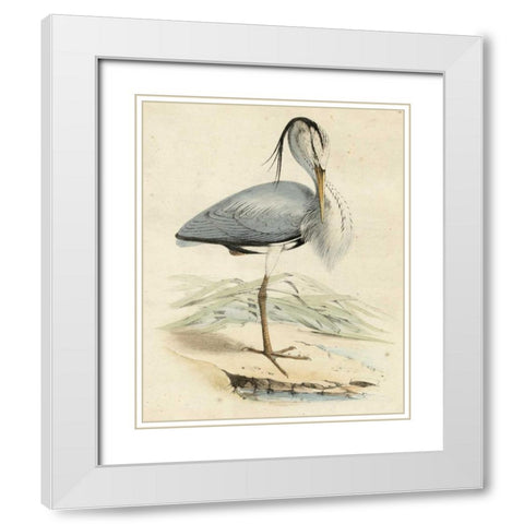 Antique Heron IV White Modern Wood Framed Art Print with Double Matting by Unknown