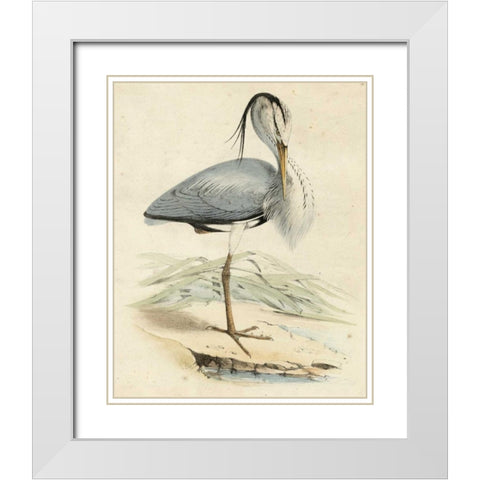 Antique Heron IV White Modern Wood Framed Art Print with Double Matting by Unknown