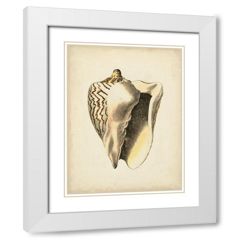 Sealife Collection I White Modern Wood Framed Art Print with Double Matting by Vision Studio