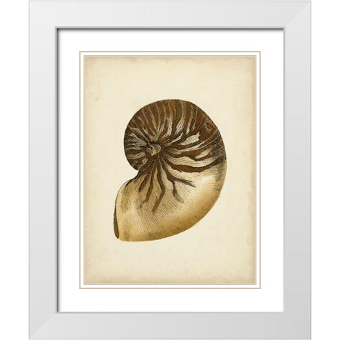 Sealife Collection V White Modern Wood Framed Art Print with Double Matting by Vision Studio