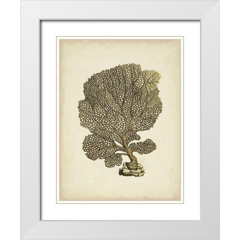 Sealife Collection VIII White Modern Wood Framed Art Print with Double Matting by Vision Studio