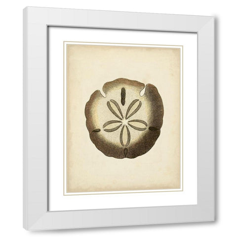 Sealife Collection IX White Modern Wood Framed Art Print with Double Matting by Vision Studio