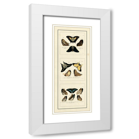 Antique Butterfly Panel I White Modern Wood Framed Art Print with Double Matting by Jablonsk