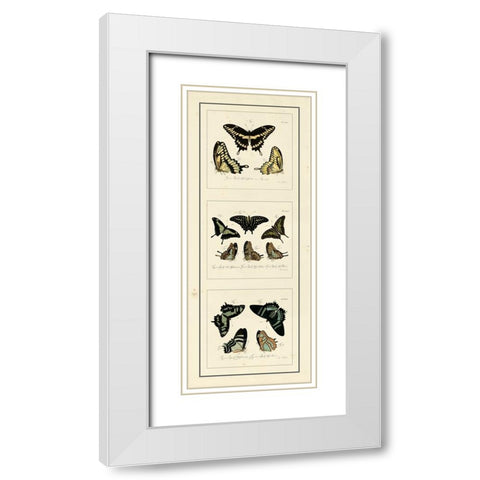 Antique Butterfly Panel II White Modern Wood Framed Art Print with Double Matting by Jablonsk