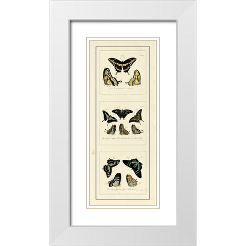 Antique Butterfly Panel II White Modern Wood Framed Art Print with Double Matting by Jablonsk