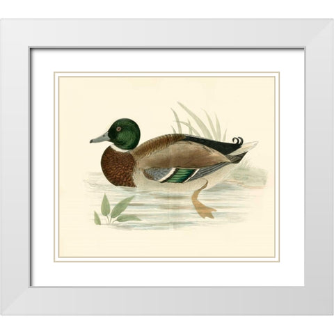 Morris Ducks I White Modern Wood Framed Art Print with Double Matting by Morris