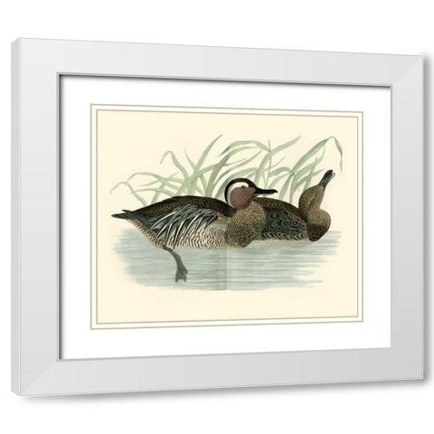 Morris Ducks II White Modern Wood Framed Art Print with Double Matting by Morris