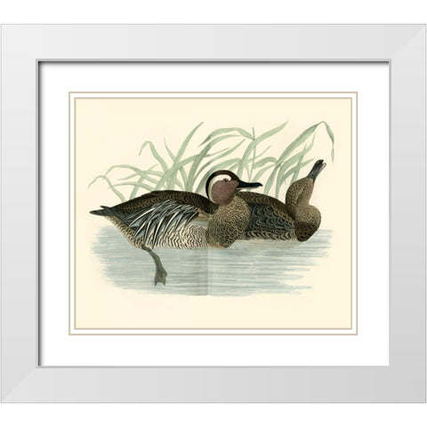 Morris Ducks II White Modern Wood Framed Art Print with Double Matting by Morris