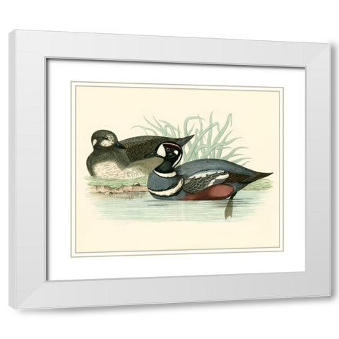 Morris Ducks IV White Modern Wood Framed Art Print with Double Matting by Morris