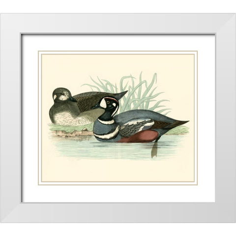Morris Ducks IV White Modern Wood Framed Art Print with Double Matting by Morris