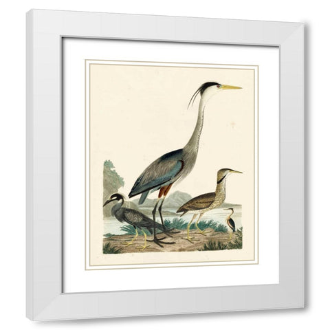 Heron Family I White Modern Wood Framed Art Print with Double Matting by Wilson, A.