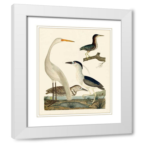 Heron Family II White Modern Wood Framed Art Print with Double Matting by Wilson, A.